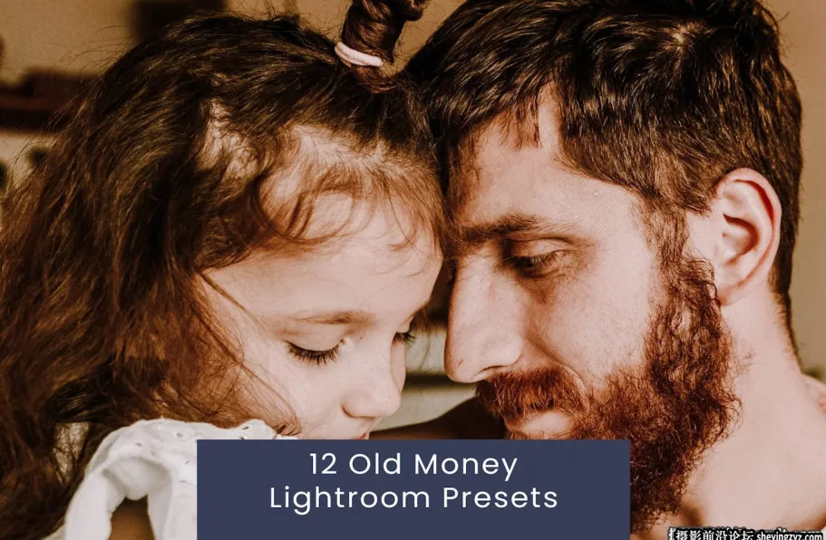 免费lr预设-12种复古家庭风光人像调色Lightroom预设 Money Lightroom Presets