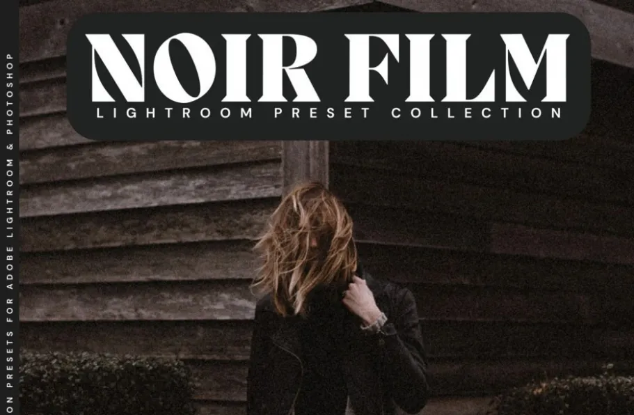 10种经典情绪电影人像lr预设 LOUMARKS  Film Noir Lightroom Presets