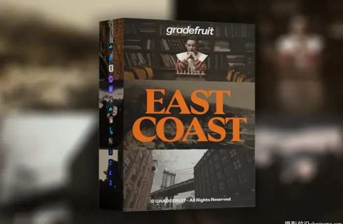 东海岸新英格兰氛围黑暗电影LUT调色预设 GradeFruit - E...