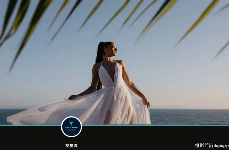 电影感十足的35毫米胶片LR预设 DVLOP - Visual Flow - Pure Pack