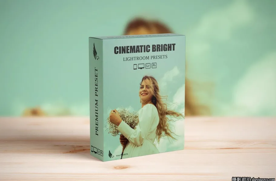 复古电影颗粒胶片lr预设 Bright Cinematic Lightroom Presets