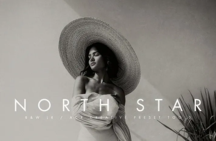 Archipelago-黑白电影胶片LR预设 Archipelago-NORTH STAR Presets