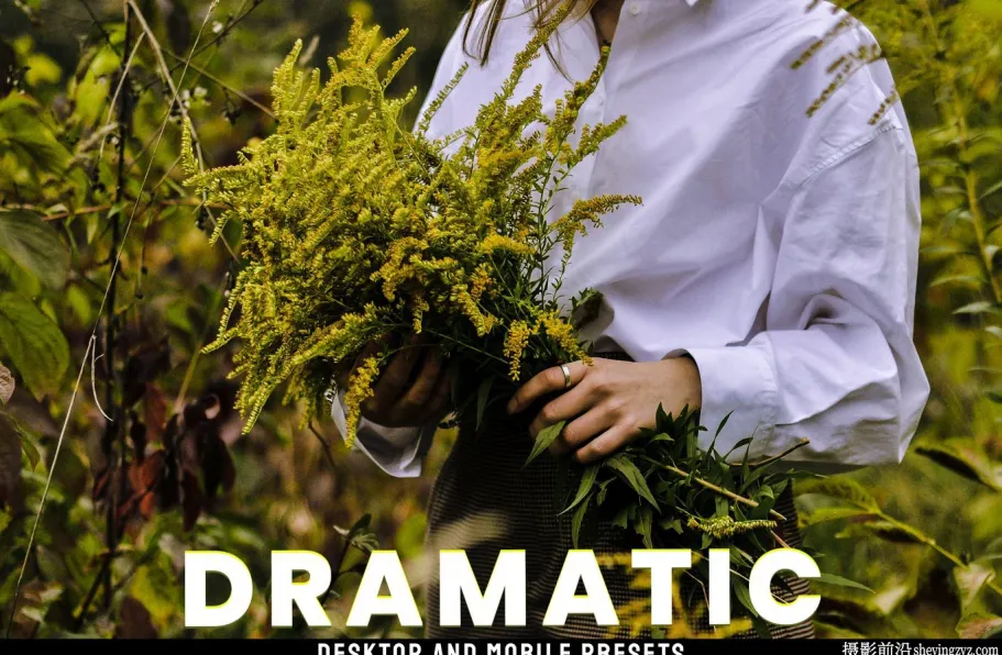 戏剧性情绪电影人像调色lr预设及手机版lr预设 Dramatic- Presets