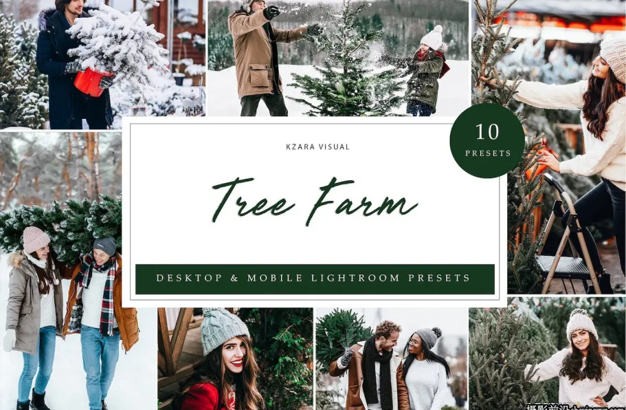 冬季旅拍人像调色lr预设及手机预设Tree Farm Lightroom Presets