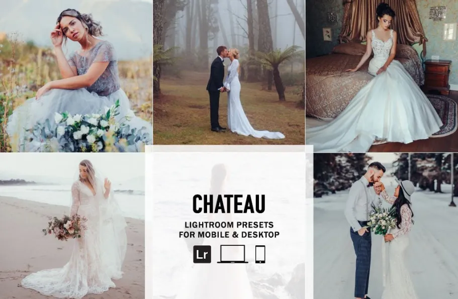TheLuxeLens 浪漫优雅AI自适应LR预设Chateau-Single Color Presets