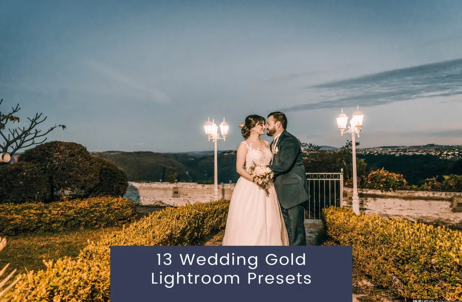 经典电影复古婚礼LR预设ACR调色预设 Wedding Lightroom Presets