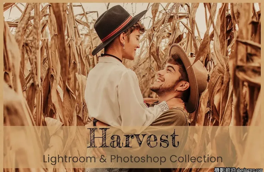 秋季人像后期调色Lr预设及LUT调色预设 Harvest Lightroom LUTs