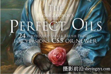 24种PHOTOSHOP高品质油画笔刷