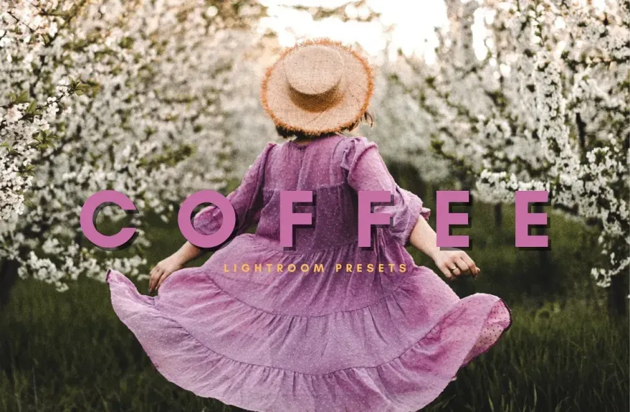 咖啡色复古人像电影胶片LR预设手机滤镜 Coffee Lightroom Presets