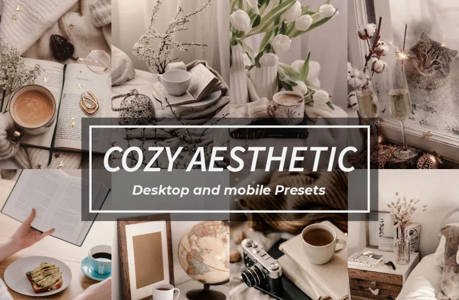 复古胶片后期调色LR预设及手机版预设 Cozy aesthetic lightroom presets
