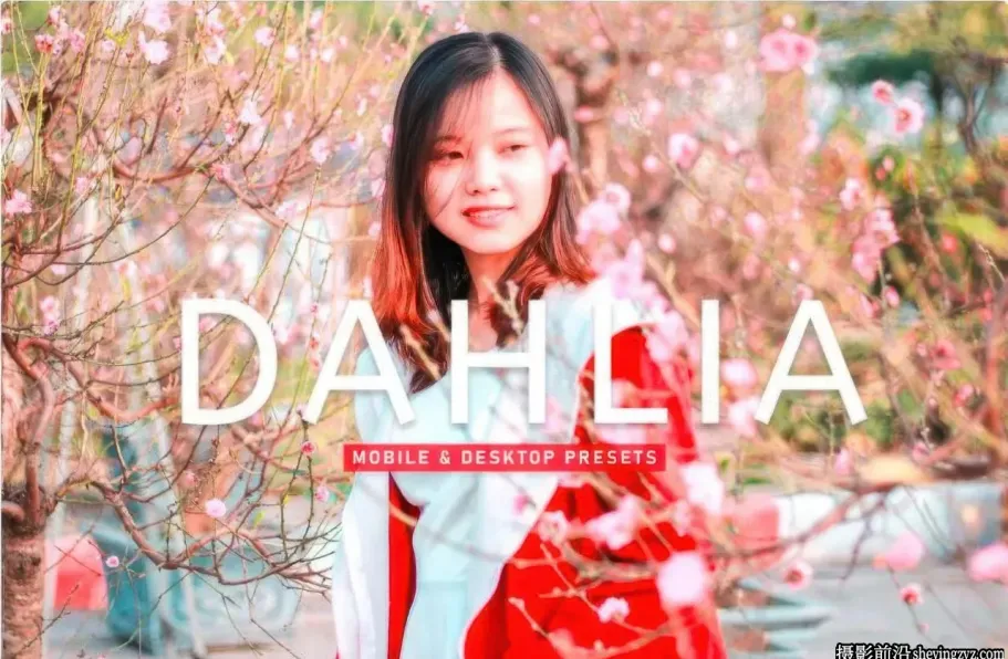 免费LR预设-电影胶片人像调色LR预设 Dahlia Pro Lightroom Presets
