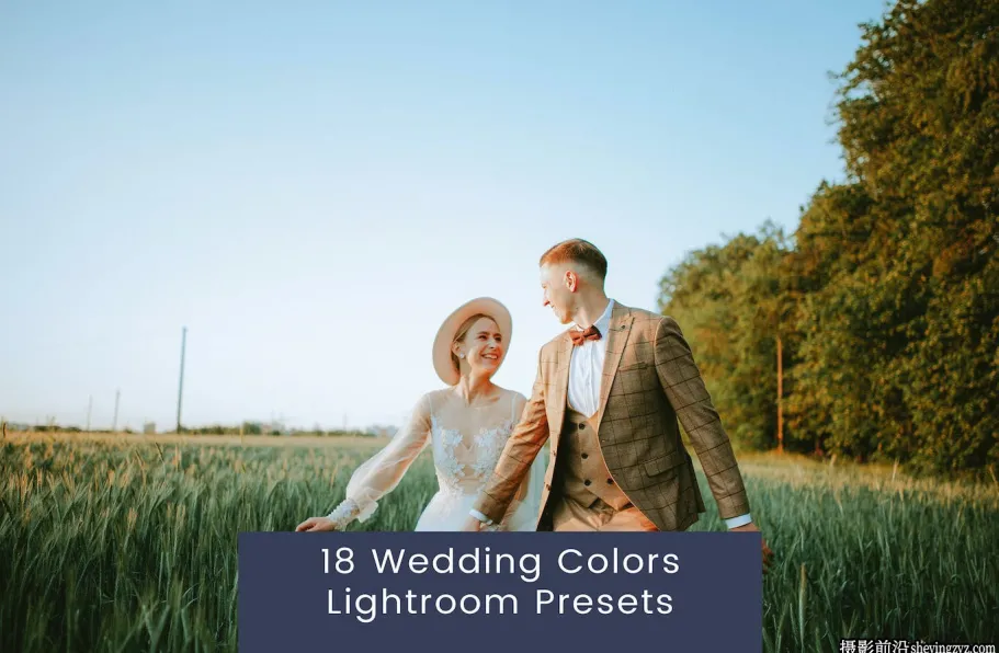 18种免费复古电影婚礼人像lr预设 Wedding Colors Lightroom Presets