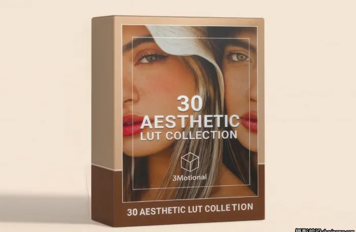 复古胶片网红色调电影美学LUT预设 3motional-30 Aesthetic LUT预设