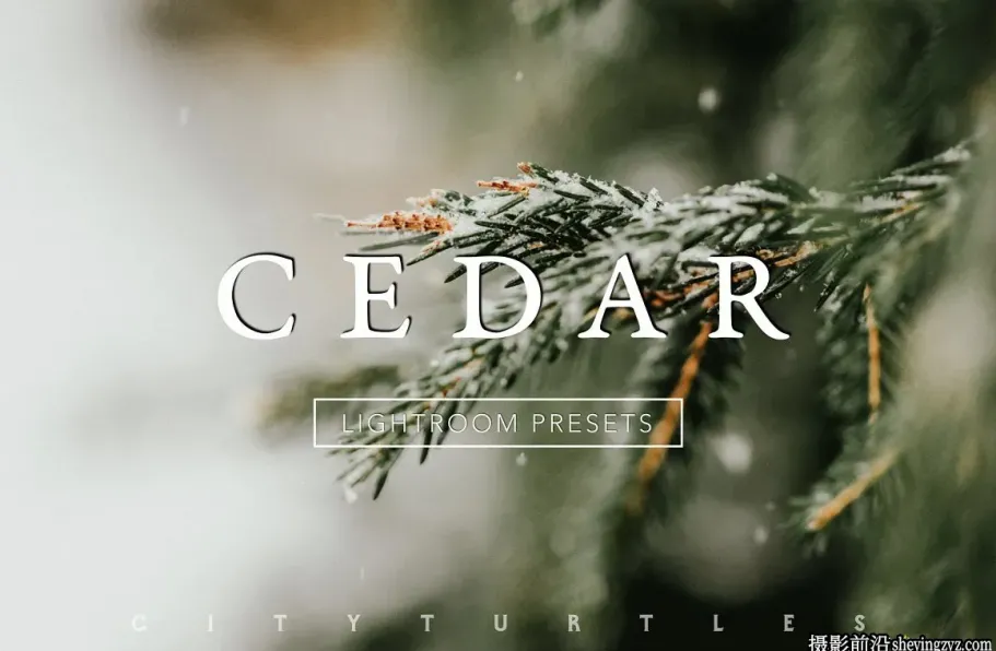 微妙情绪电影色彩LR预设 CEDAR Subtle Moody Lightroom Presets