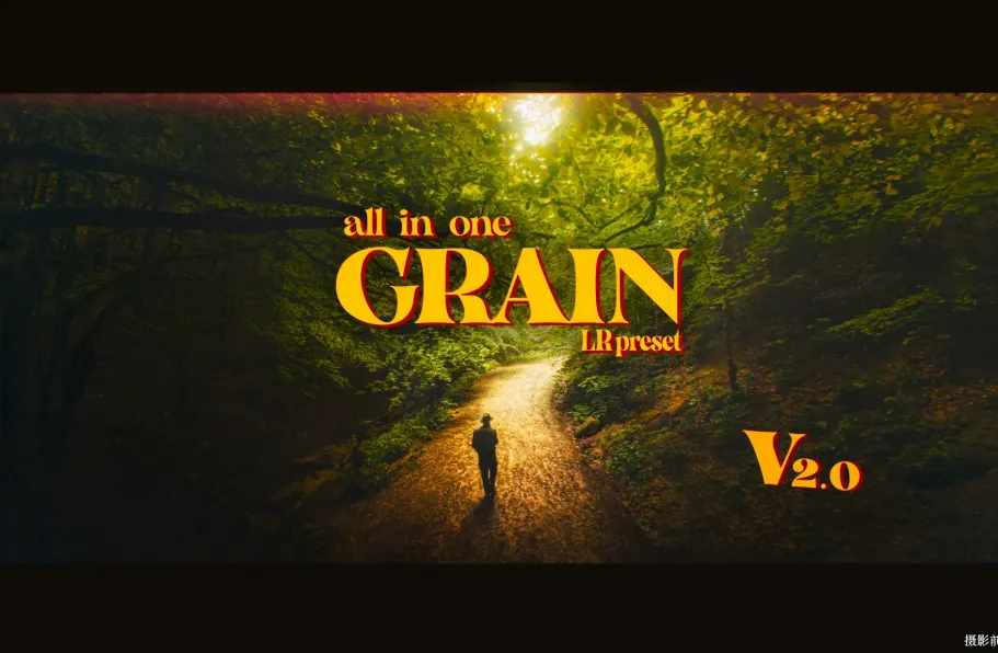 一体化电影仿真胶片LR预设 Vmoldo - All in one Grain 2.0 presets