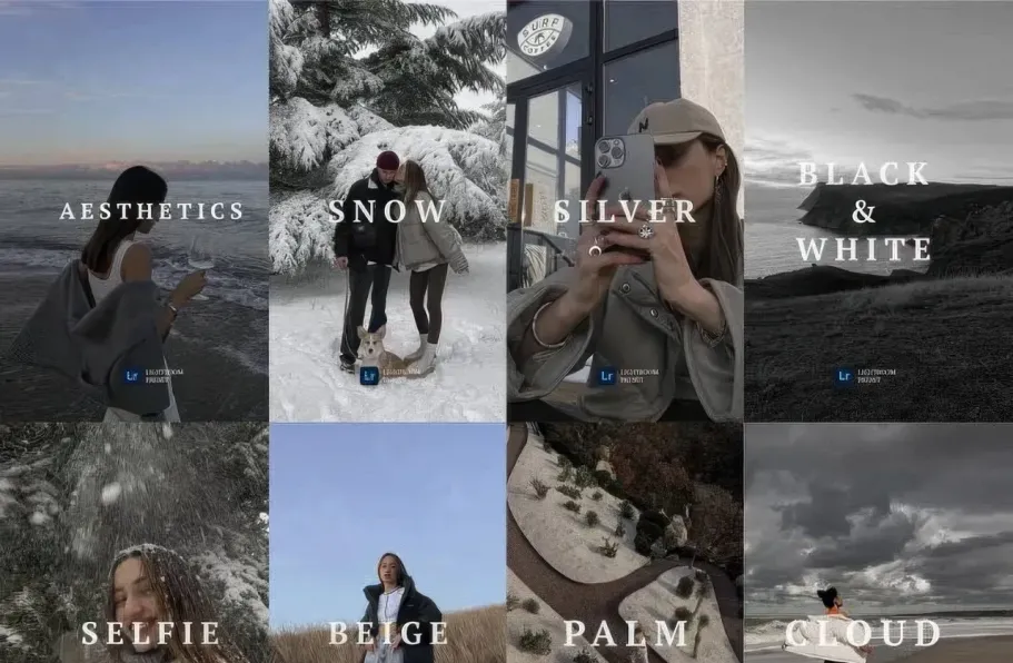 网红博客旅拍人像灰色调LR预设套装 BARBANNOVA - WINTER PACK FW