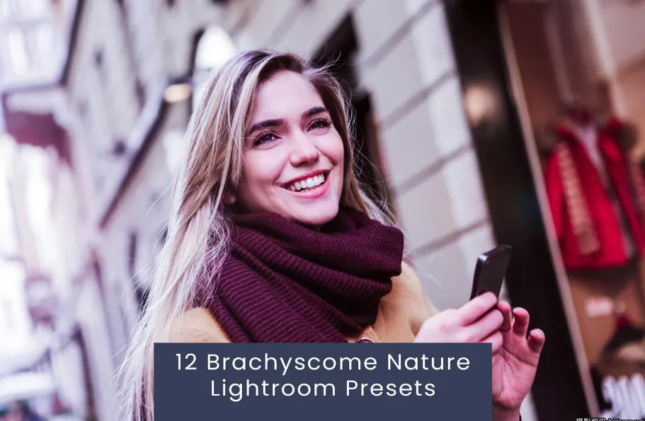 明亮紫色调胶片人像后期调色Lightroom预设 Brachyscome Nature Lightroom Presets