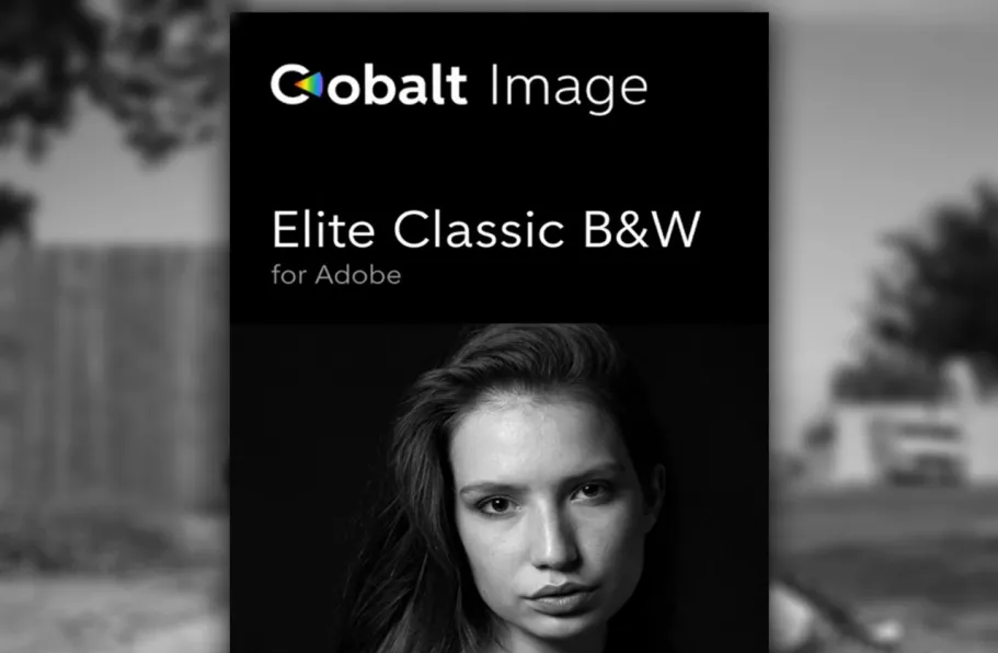 正宗经典柯达黑白胶卷LR预设Cobalt-Image - Elite Classic B&W