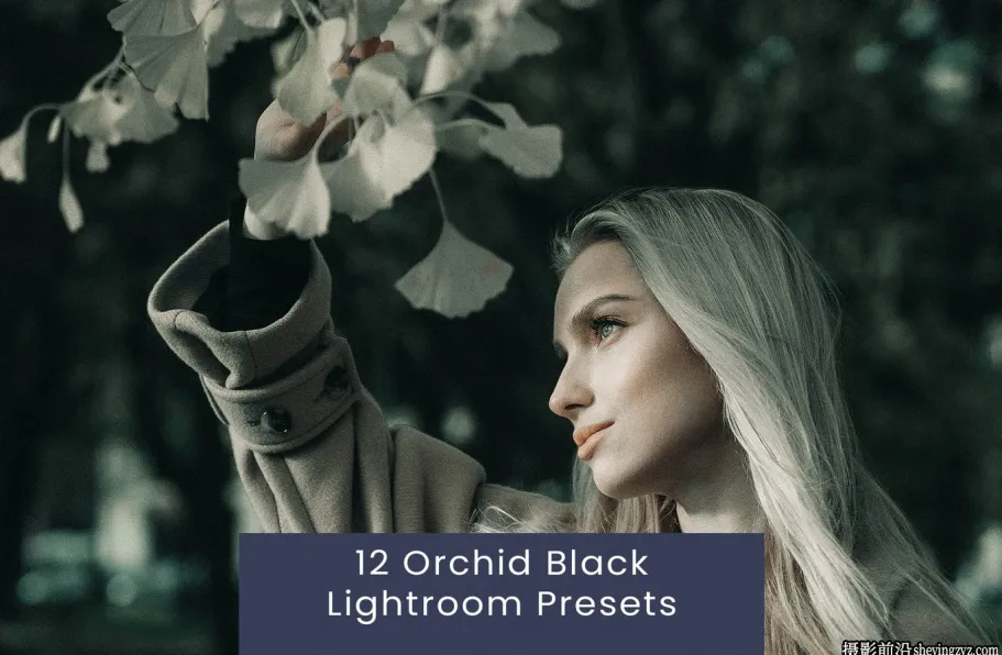 12种黑暗情绪电影人像lr预设ACR调色预设 Black Lightroom Presets