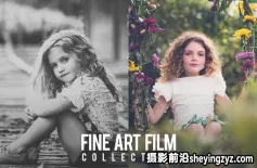 欧美艺术电影胶片集Lightroom预设 Fine Art Film Collection