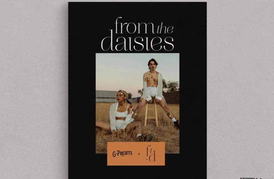 经典电影故事LR预设ACR预设 G-Presets - From the Daisies Presets