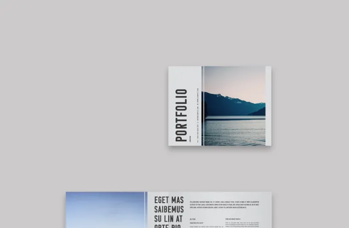 轻量投资组合布局InDesign模板