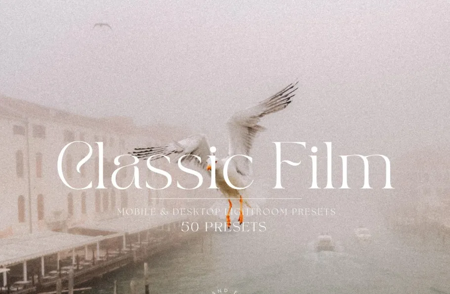 50MM+35MM电影胶片仿真LR预设FilAndEllieStudio-50+35MMLightroom