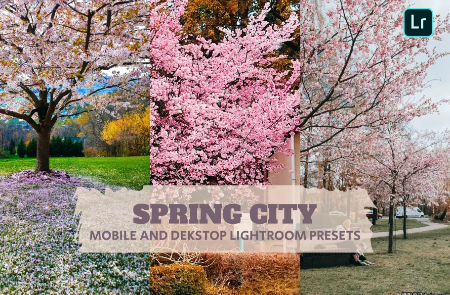 春季风光后期调色LR预设及手机lr预设 Spring City Lightroom Presets
