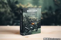 黑暗情绪色彩Lightroom预设 Moody Black Tones Lightroom Presets