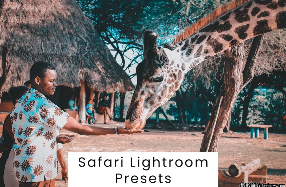 动物园野生动物摄影Lightroom预设 Safari Lightroom Presets