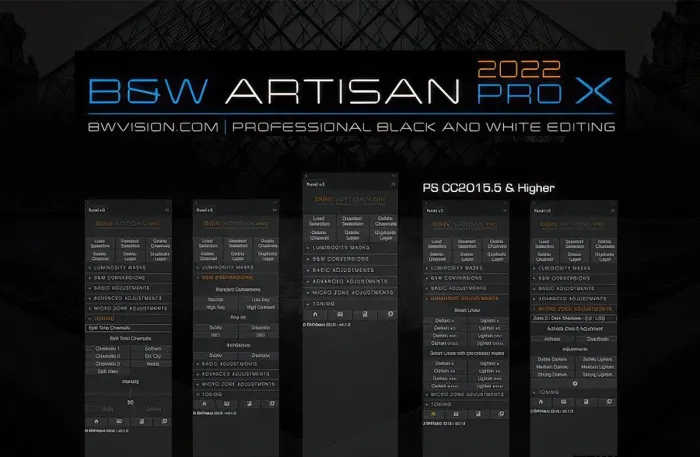 BW Artisan Pro X 2022完整汉化版|黑白明度蒙版扩展附教程