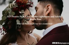 Henry Tieu 高清婚礼人像LR预设第二季 Henry Tieu-Lightroom Preset Pack II