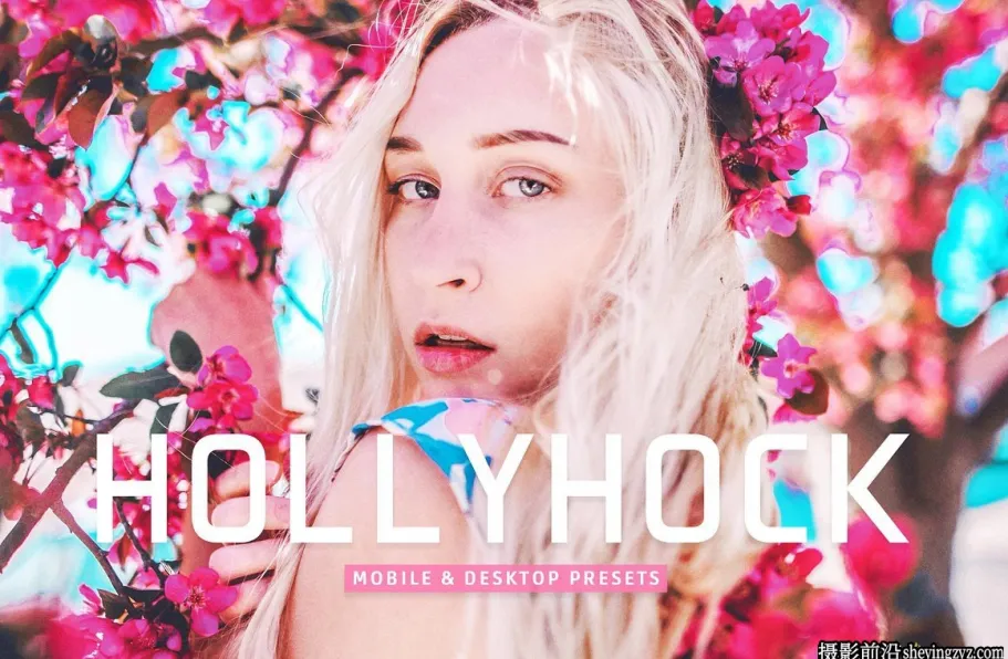 免费LR预设-温暖胶片人像调色LR预设 Hollyhock Lightroom Presets
