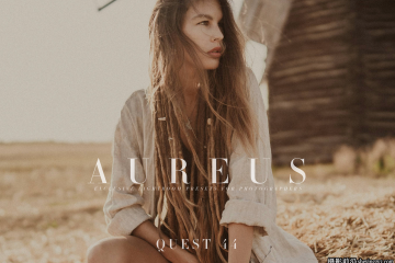 Archipelago Quest系列44-金色胶片LR预设 QUEST 44–Aureus Presets