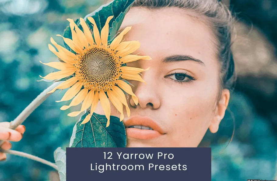 12种复古向日葵外拍胶片人像Lightroom预设 Yarrow Pro Lightroom Presets