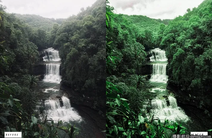 森林电影风光调色LR预设PS预设 Cinematic Forest Lightroom Presets
