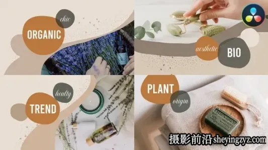 达芬奇模板-有机产品宣传片模板 VH-37184741