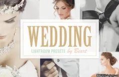 15种专业婚礼婚庆Lightroom预设 Wedding Lightroom Presets