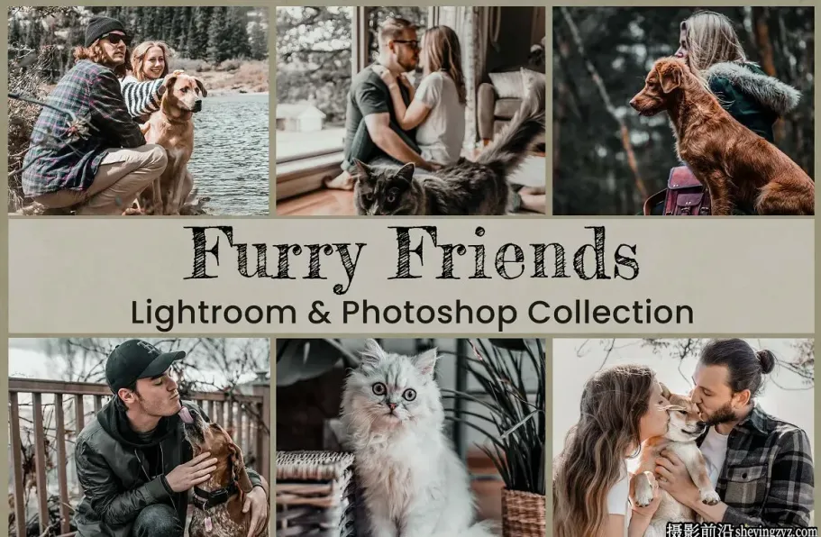 萌宠宠物摄影后期调色LR预设手机滤镜Furry Friends Collection