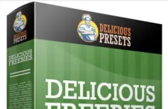 复古人像后期调色Lightroom预设Delicious Lightroom Presets