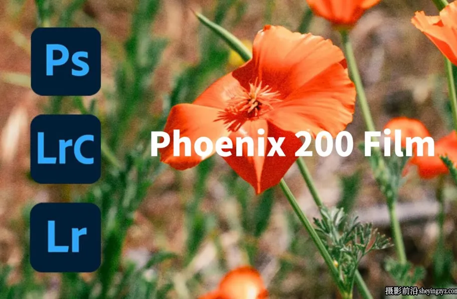 PHOENIX200彩色胶片仿真lr预设Film is Fun-Harman Phoenix 200 Film