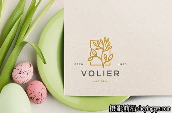 logo标志样机,logo样机