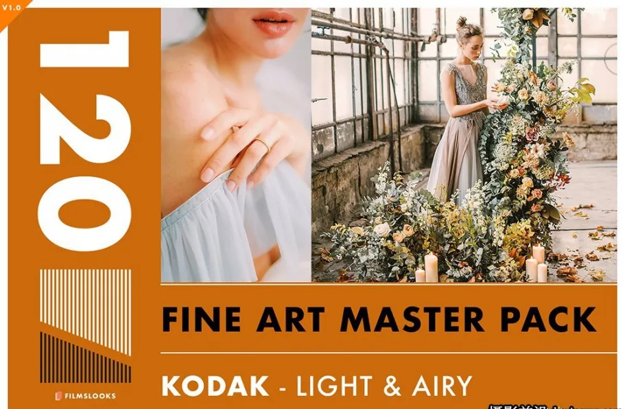 真实柯达电影胶卷模拟Lr预设 FilmsLooks-Kodak lightroom presets