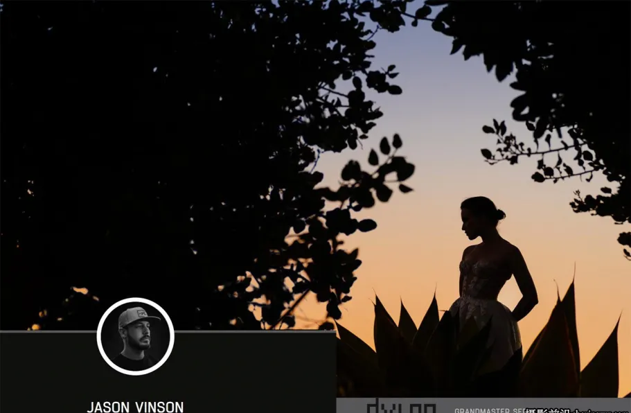 Jason Vinso婚礼人像预设 DVLOP-Jason Vinson-Grand Master Series