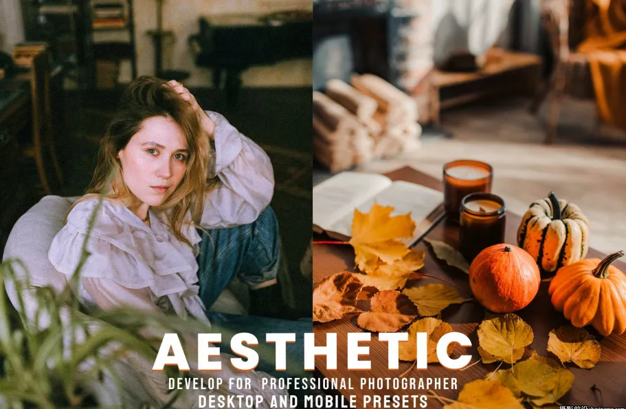 电影胶片美学lr预设及手机lr预设 Aesthetic -Lightroom Presets
