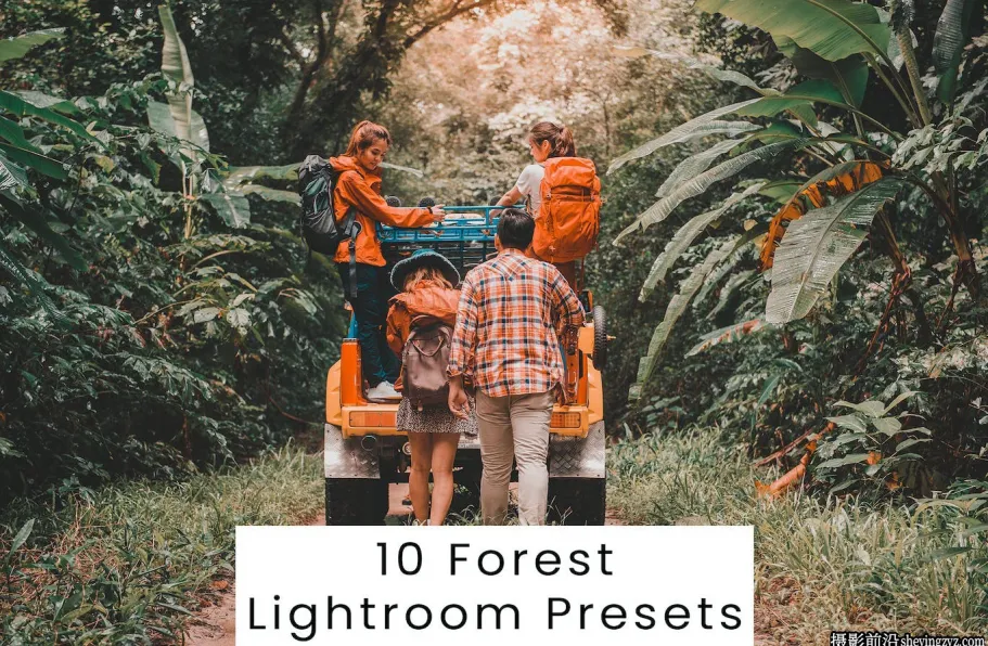 10种免费冒险旅拍电影风光lr预设 Forest Lightroom Presets