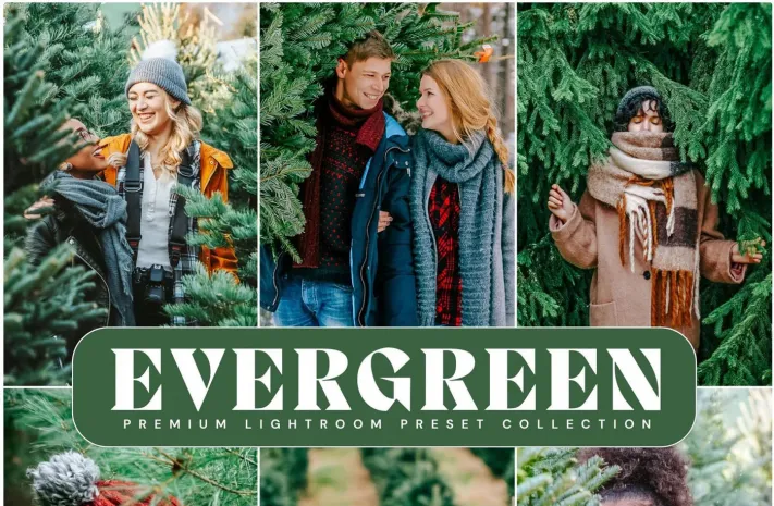 10种清新森系胶片人像LR预设 LOUMARKS Evergreen Presets
