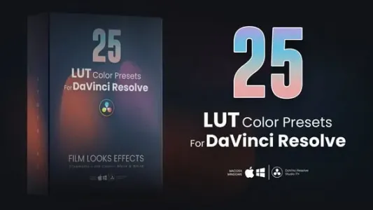 达芬奇调色-25个DaVinci Resolve高级LUT调色预设包 VH-42052504