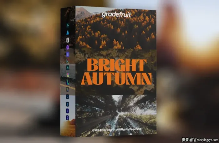 秋季色彩电影风光LUT调色预设 GradeFruit - Bright Autu...