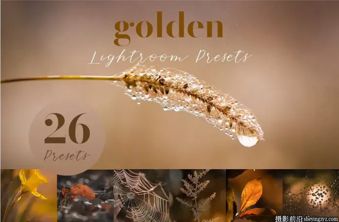 金色唯美微距摄影后期调色Lightroom预设Golden Lightroom Presets